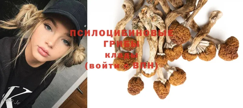 Псилоцибиновые грибы MAGIC MUSHROOMS  купить  сайты  Задонск 